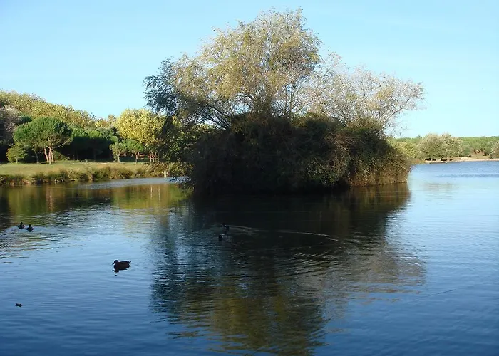 Porto's Park & Surf * Matosinhos (Porto)